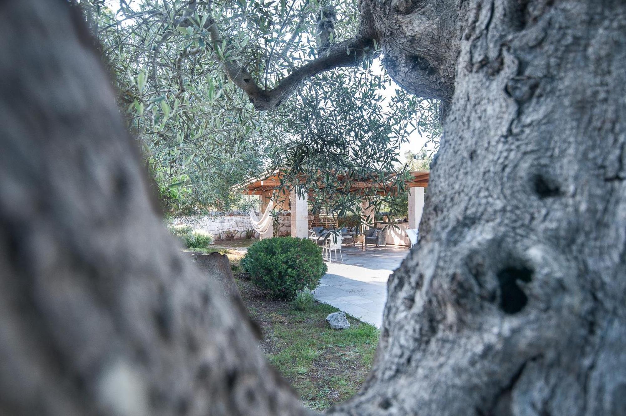 Il Trullo Di Ben Βίλα Locorotondo Εξωτερικό φωτογραφία